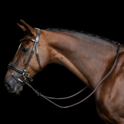 Rênes Imperial Riding en caoutchouc avec renfort en nylon Marron foncé