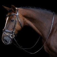 Rênes Imperial Riding en caoutchouc avec repère de pouce