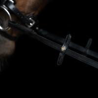 Rênes Imperial Riding en cuir lisse