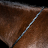 Rênes Imperial Riding en cuir lisse