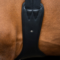 Sangle de saut Imperial Riding anatomique avec boucles à rouleaux