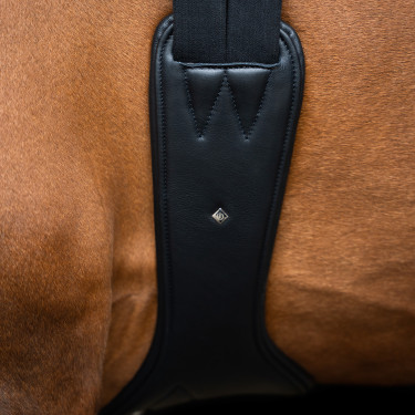 Sangle de saut Imperial Riding anatomique avec boucles à rouleaux