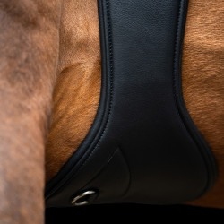 Sangle de saut Imperial Riding anatomique avec boucles à rouleaux