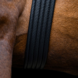 Sangle de saut Imperial Riding Basic