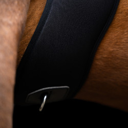 Sangle de saut Imperial Riding Basic anatomique en néoprène