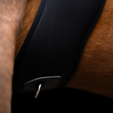 Sangle de saut Imperial Riding Basic anatomique en néoprène