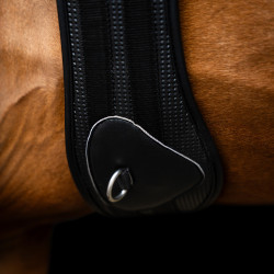 Sangle de saut Imperial Riding Basic anatomique et respirante