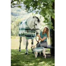 Pantalon Horseware Newmarket taille haute full seat Orage Bleu Pantalon Horseware Newmarket taille haute full seat Orage Bleu