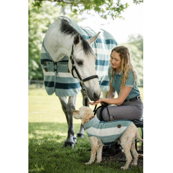Pantalon Horseware Newmarket taille haute full seat Orage Bleu Pantalon Horseware Newmarket taille haute full seat Orage Bleu