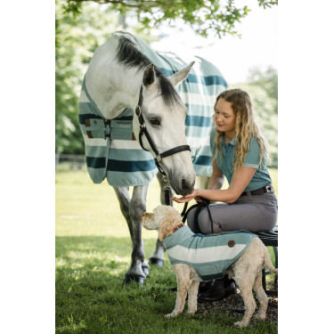 Pantalon Horseware Newmarket taille haute full seat Orage Bleu Pantalon Horseware Newmarket taille haute full seat Orage Bleu