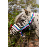 Licol Funny Horses HKM Bleu foncé, bleu, rose foncé Multi-couleurs Licol Funny Horses HKM Bleu foncé, bleu, rose foncé Multi-couleurs