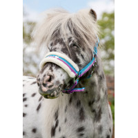 Licol Funny Horses HKM Bleu foncé, bleu, rose foncé Multi-couleurs Licol Funny Horses HKM Bleu foncé, bleu, rose foncé Multi-couleurs