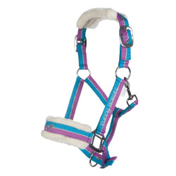 Licol Funny Horses HKM Violet / aqua / argent