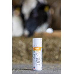Spray Poudre +