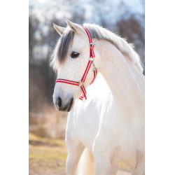 Licol Hippo Covalliero Bordeaux / beige