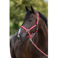 Licol Hippo Covalliero Bordeaux / beige