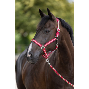 Licol Hippo Covalliero Bordeaux / beige