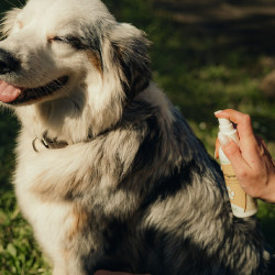 Cicanat Spray Nutragile Chien et chat