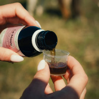 Mouv Nutragile Chien et chat