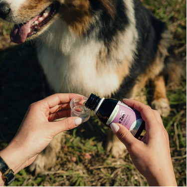 Zen Nutragile Chien et chat