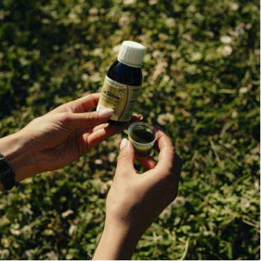 Detox Nutragile Chien et chat