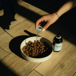 Electrolytes Nutragile Chien et chat