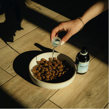 Electrolytes Nutragile Chien et chat