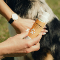 Gel soulage Nutragile Chien et chat