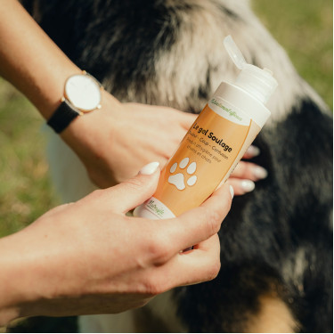 Gel soulage Nutragile Chien et chat