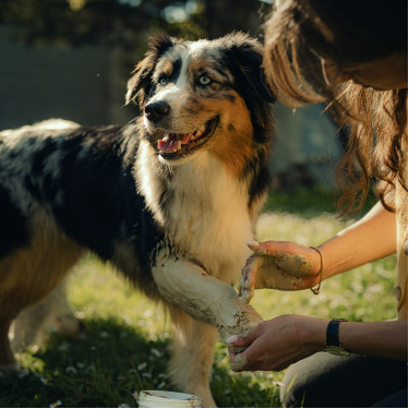 Cataplasme d'argile Nutragile Chien et chat