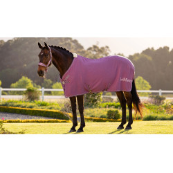 Chemise séchante en bambou Kudos LeMieux Mallow Violet Chemise séchante en bambou Kudos LeMieux Mallow Violet