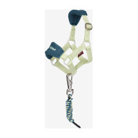 Licol vogue pour jouet Mini Poney LeMieux Azure Bleu