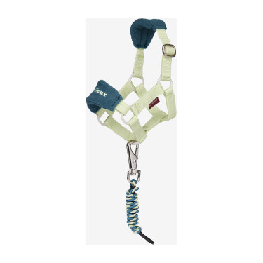 Licol vogue pour jouet Mini Poney LeMieux Macaron Vert