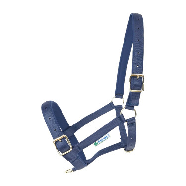 Licol Bucas Dublin Bleu marine / bleu marine Licol Bucas Dublin Bleu marine / bleu marine