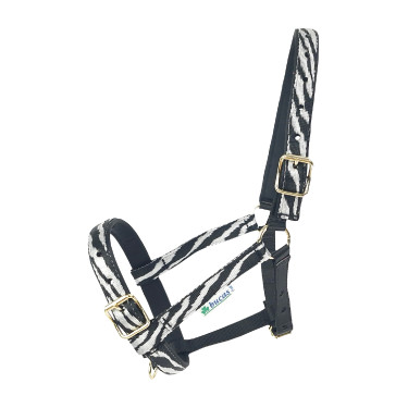 Licol Bucas Dublin Zebra / noir Motifs Licol Bucas Dublin Zebra / noir Motifs