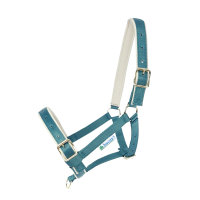 Licol Bucas Dublin Atlantic / argent Bleu