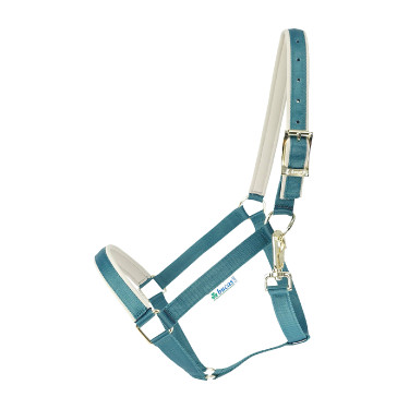 Licol Bucas Dublin Atlantic / argent Bleu