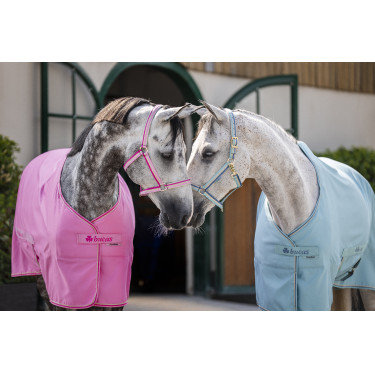 Chemise Bucas Freedom Twill