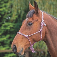 Licol éthologique Shires Rose / noir