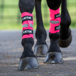 Guêtres réfléchissantes Equi-Flector® Shires Rose Guêtres réfléchissantes Equi-Flector® Shires Rose