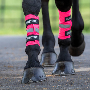 Guêtres réfléchissantes Equi-Flector® Shires Rose Guêtres réfléchissantes Equi-Flector® Shires Rose