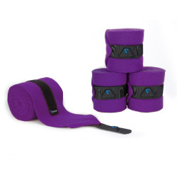Bandes de polo Shires Violet Bandes de polo Shires Violet