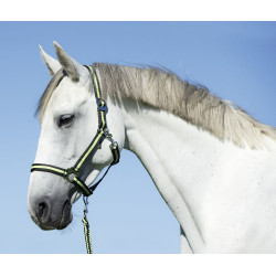 Licol Hippo Covalliero Anthracite / citron Gris