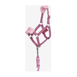 Licol et longe Vogue Hobby Horse LeMieux Mallow Violet