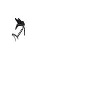 Bonnet anti-mouches LeMieux Air-Tek tissu mesh Noir