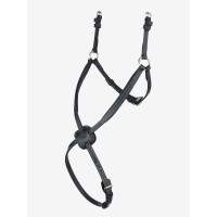 Muserolle LeMieux Arika Grackle Noir / argent