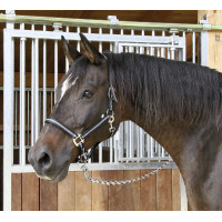 Licol Mustang Covalliero Noir / argent