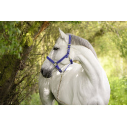 Licol Mustang Covalliero