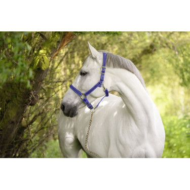 Licol Mustang Covalliero Licol Mustang Covalliero
