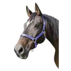 Licol Mustang Covalliero Bleu roi / noir